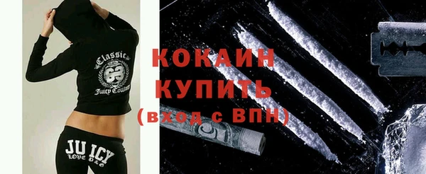 шишки Гусь-Хрустальный