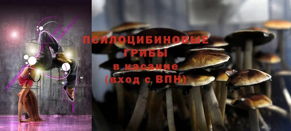 мдма Дмитров
