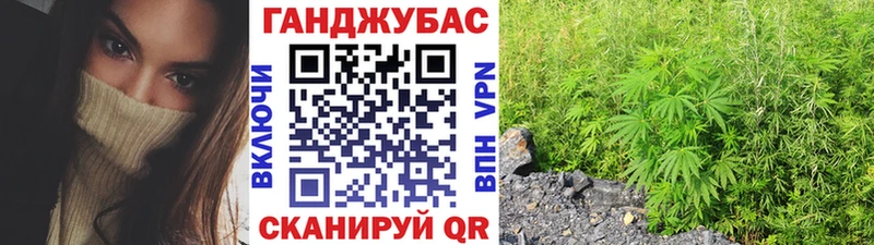 Каннабис план MEGA вход Знаменск